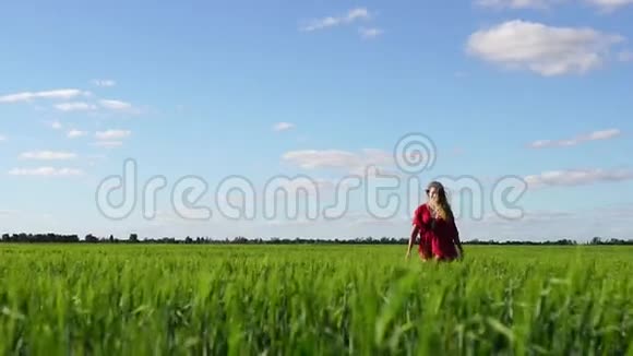 快乐的女人享受大自然美丽的金发女郎在田野上奔跑自由概念视频的预览图