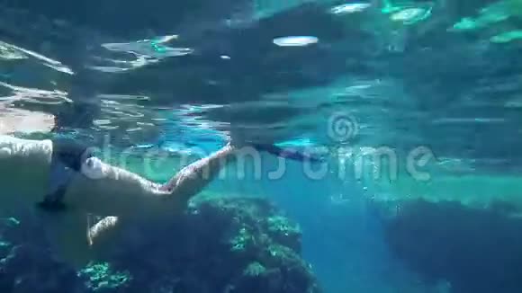 脚蹼的雄性在水下游泳视频的预览图