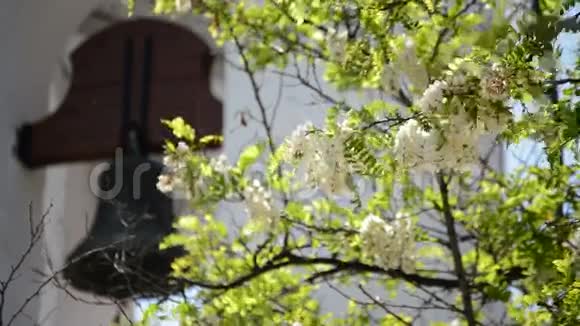 典型的安达钟楼教堂里有植物和鲜花阳光明媚视频的预览图