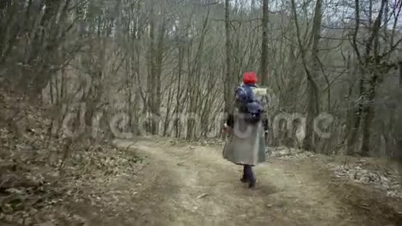 年轻漂亮的女人戴着红帽子在森林里游荡视频的预览图