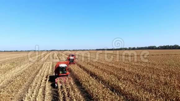 高空俯视图三台大红联合收割机在初秋收割玉米田过滤拖拉机视频的预览图