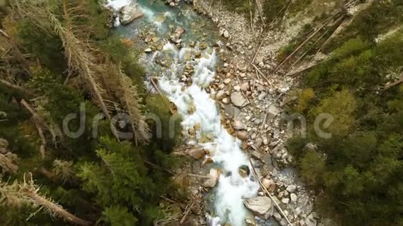 针叶秋林中流动的一条快速山河的俯视图纯山水中的天然视频的预览图