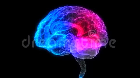 旋转人脑发光蓝光线的人脑模型三维无缝循环运动动画神经元视频的预览图