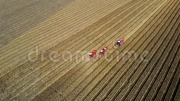 高空俯视图三台大红联合收割机在初秋收割玉米田过滤拖拉机视频的预览图