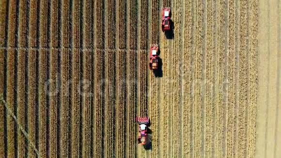 高空俯视图三台大红联合收割机在初秋收割玉米田过滤拖拉机视频的预览图