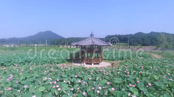 韩国庆南哈曼莲花主题公园视频的预览图