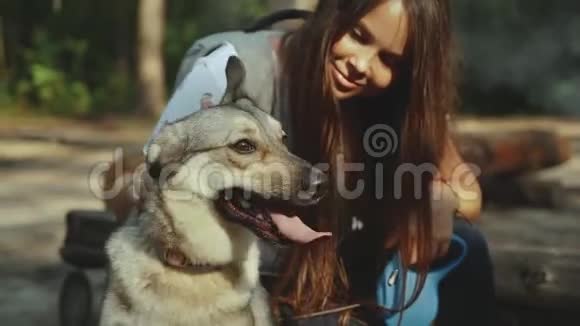 美丽快乐的年轻女人在森林里抚摸她可爱的狗视频的预览图