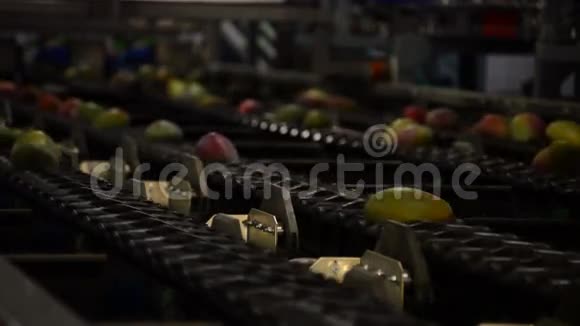 芒果果实机械化工业包装视频的预览图