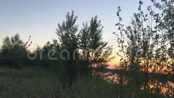 宁静的湖面上美丽的夏日日落视频的预览图