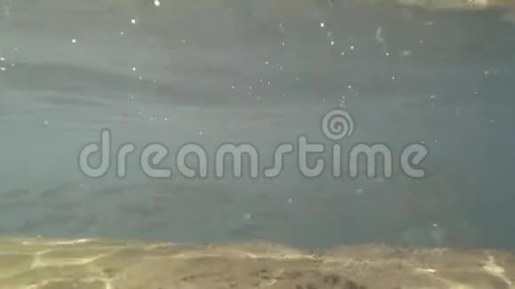 在热带海洋中水下喷着阳光气泡和成群的鱼马耳他视频的预览图