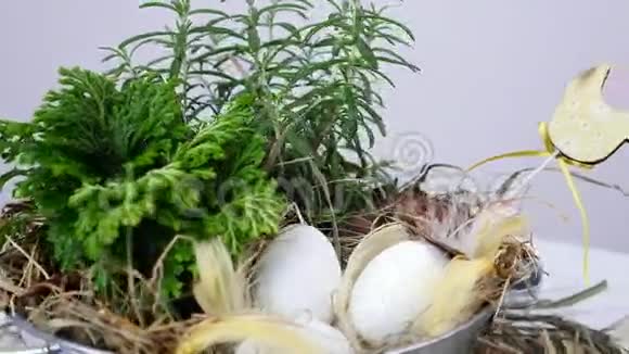 在白色背景上轮作以乡村风格的花复活节组成由鸡蛋羽毛绿色植物组成视频的预览图