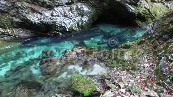 斯洛文尼亚著名的品酒瀑布视频的预览图