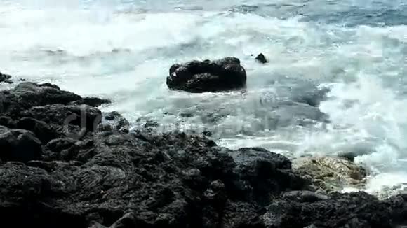 夏威夷科纳的黑色熔岩视频的预览图