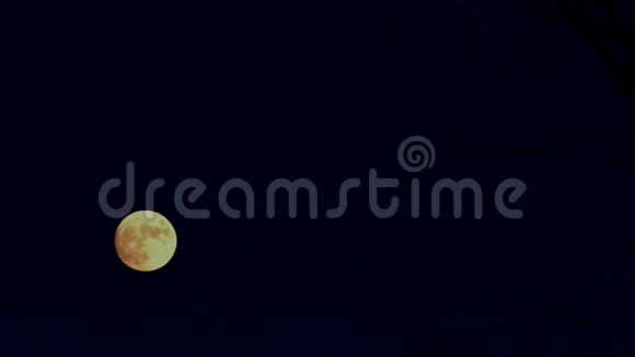 夜晚满月在天空中运动视频的预览图