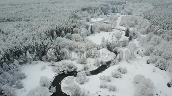 4K在多雾天气下在结冰的森林中在蜿蜒的河流上方低飞行美丽的冬谷空中全景视频的预览图