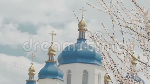 樱花中的教堂穹顶视频的预览图