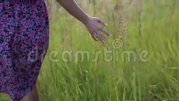 日落时分穿着裙子的女孩在绿色的田野上视频的预览图