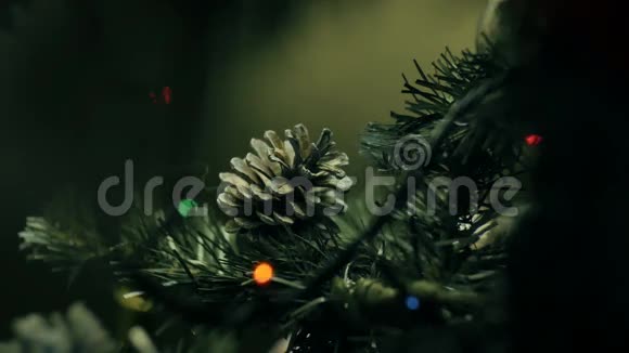 圣诞树树枝上装饰的松果视频的预览图