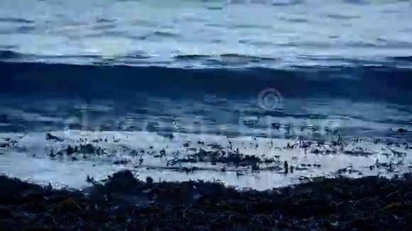 夜晚的海浪冲破海藻视频的预览图