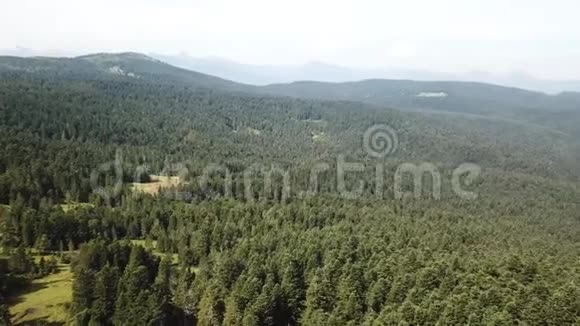 法国比利牛斯山脉草地和冷杉森林的空中景色用无人机拍摄视频的预览图
