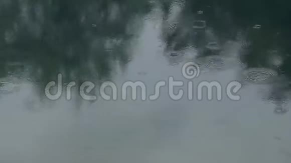 轻松观赏落在湖中的小雨视频的预览图