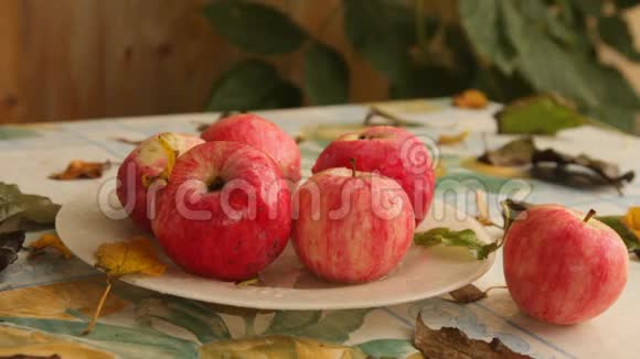 在秋天的花园里桌子上放着湿苹果的盘子里爬着虫子视频的预览图