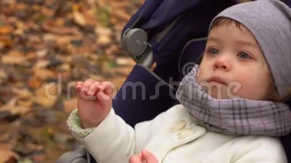 可爱的小女孩坐在婴儿车里在秋天的公园里咀嚼快乐的孩子在落叶背景下4K视频的预览图