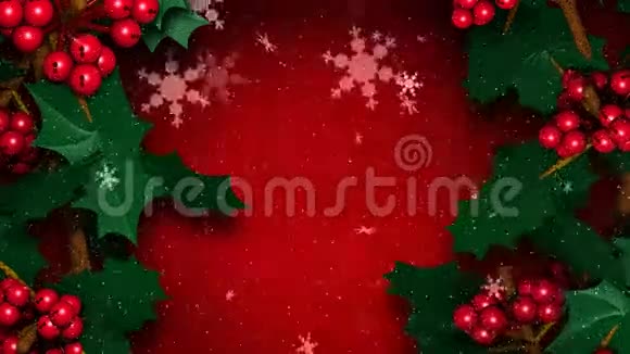 圣诞冬青藤伴雪花飘落视频的预览图