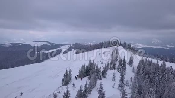飞越冬喀尔巴阡山脉视频的预览图