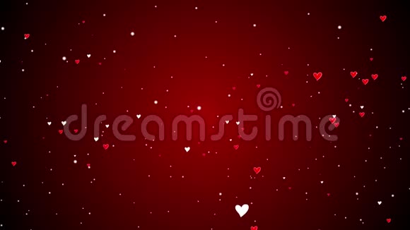 落在红色背景上的心脏和胸部情人节红色的心和闪光的灯或波克粒子可循环抽象的bac视频的预览图