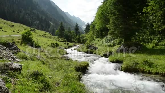 齐勒塔尔阿尔卑斯山流经森林和山脉霍赫陶恩国家公园视频的预览图