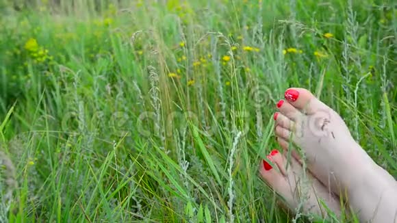绿色草地上有红色脚趾甲的女性腿视频的预览图