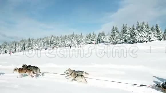 在大自然中用雪橇驾驶的人视频的预览图