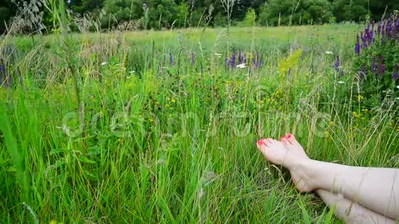 绿色草地上有红色脚趾甲的女性腿视频的预览图