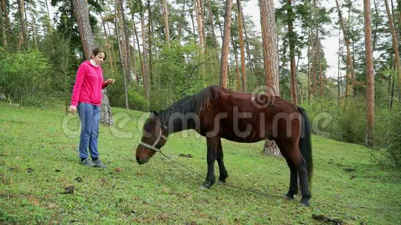 可爱的女孩游客喂食和抚摸一匹马视频的预览图