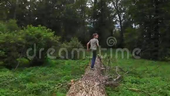 少年走在一棵大树的树干上干砍倒躺在地上的病树视频的预览图