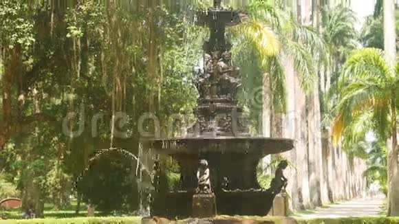 里约热内卢的植物园视频的预览图