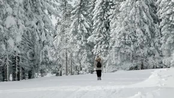 在冬天散步和享受的高级妇女视频的预览图