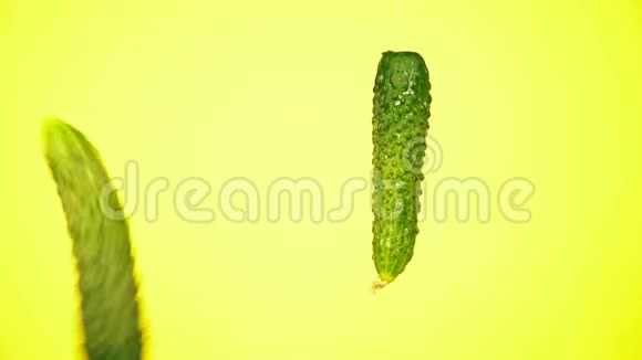 新鲜黄瓜随着水珠掉落营养的概念在黄色背景下减速视频的预览图