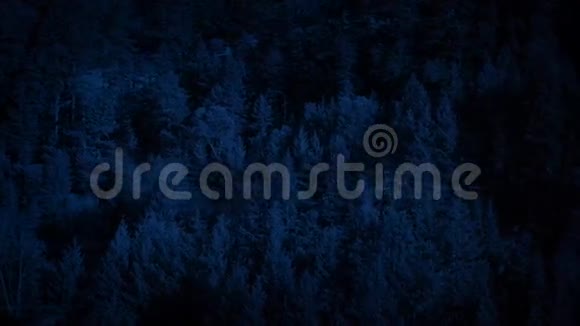 穿过黑暗中的树林山腰视频的预览图