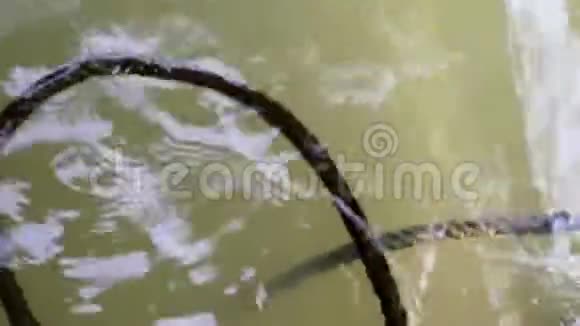 藻类覆盖的绳子漂浮在水上视频的预览图