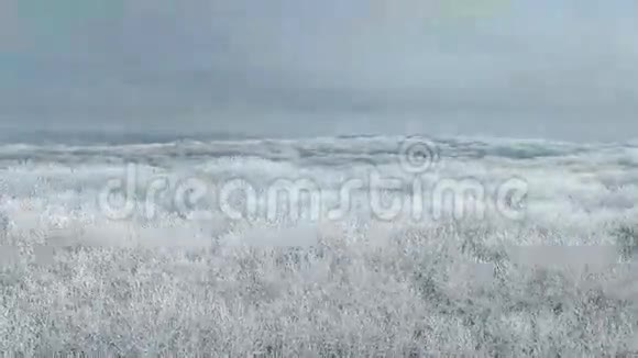 鸟瞰冬天森林视频的预览图