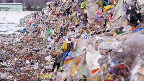 城市垃圾场垃圾填埋场有很多塑料垃圾视频的预览图