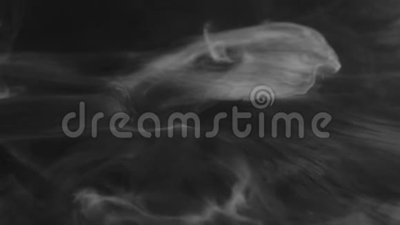 真实的抽象烟雾蒸气在黑色背景下从左侧扩散到右侧白烟云视频的预览图