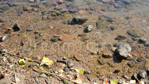 一个有岩石的湖视频的预览图