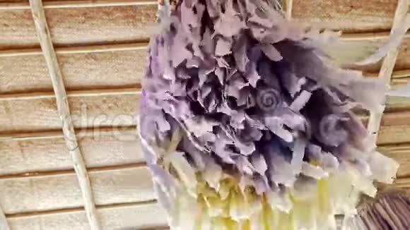 婚礼用紫色流苏装饰视频的预览图