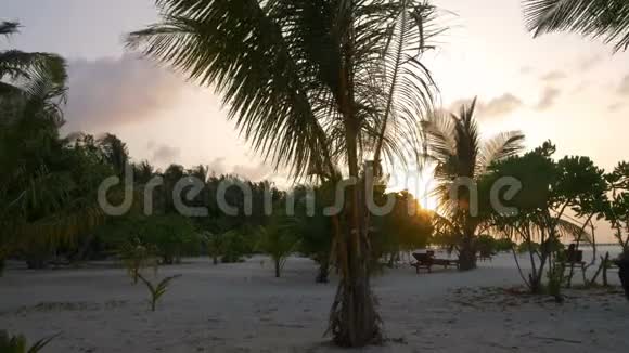 美丽的日落在海滩上俯瞰马尔代夫的棕榈树视频的预览图