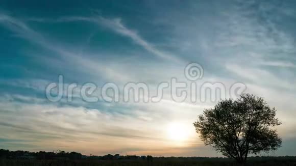 一棵生长在田野上的树带着戏剧性的日落天空视频的预览图
