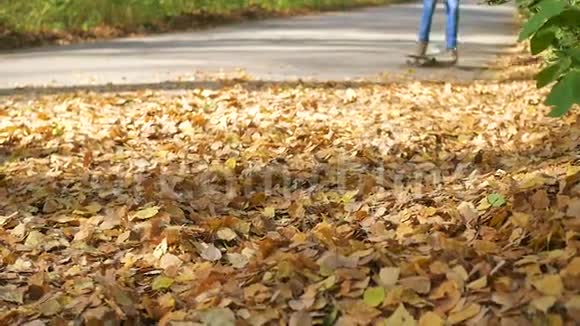 少年骑着滑板穿过公园秋天落叶视频的预览图