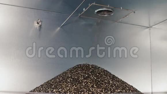 贝壳葵花籽在一堆磨损用葵花籽油生产废料视频的预览图